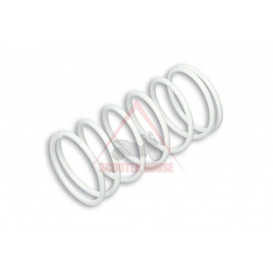 Torque Drive Spring Malossi Piaggio White