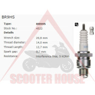 Spark plug -NGK- BR9HS 4522