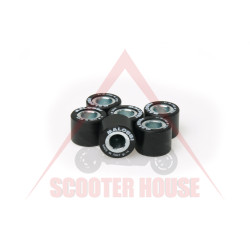 Roller weights kit -MALOSSI-  18x14 14.0g x6