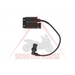 CDI, ЕЛЕКТРОНИКА С БОБИНА -EU- Piaggio 50cc 4T Zip50 4T/Fly50 4T/ VESPA Lx50 CDI, ЕЛЕКТРОНИКА С БОБИНА -EU- Piaggio 50cc 4T Zip50 4T/Fly50 4T/ VESPA Lx50