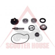 Set reparatie pompa apa -WM- 250-300cc PIAGGIO Beverly Carnaby MP3 X7, VESPA GTS