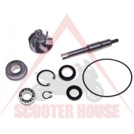 Επισκευή αντλίας νερού -wm-honda sh dylan pantheon s-wing chicciola 125-150 4t